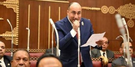 النائب عمرو رشاد: توجيه الرئيس بشأن «جلوبال» رسالة حاسمة.. لا تهاون في حماية الطلاب ولا إفلات من المساءلة