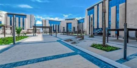 جامعة العلمين الدولية تعلن عن وظيفة مساعد تدريس فيزياء.. الشروط وموعد التقديم