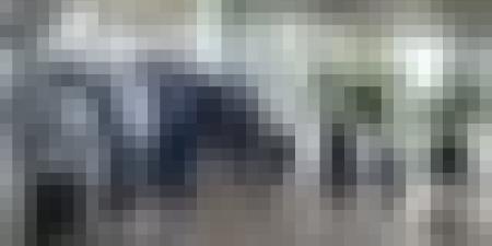 المدير العام لمجمع صيدال يعاين مشروع مصنع إنتاج المواد الأولية للمضادات الحيوية بالمدية