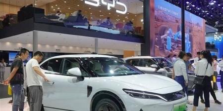 سيارة عليها حظر بيع.. هل يمكن نقل ملكيتها أو تجديد رخصتها؟