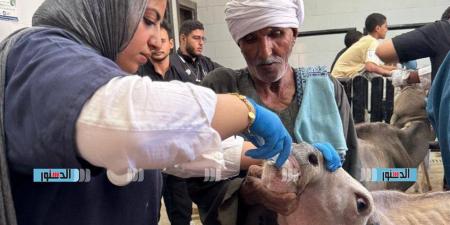 الهيئة البيطرية: مستعدون للمرحلة الثانية من المبادرة الرئاسية "حياة كريمة" بالغربية