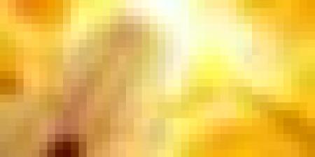 موجة حر قياسية تصل إلى 49° اليوم وغدا في هذه الولايات