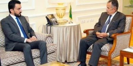 نبيل فهمى يستقبل وزير الاتصالات العراقى.. ويؤكد أهمية التعاون العربى بمجال التكنولوجيا