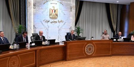 "العمل عن بُعد خلال سبتمبر" الأبرز.. 12 قرارًا لرئيس مجلس الوزارء اليوم