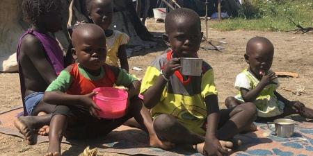 منظومات دفاع جوي حديثة في الدمازين.. والجيش السوداني يوجه ضربة لتحركات الدعم السريع