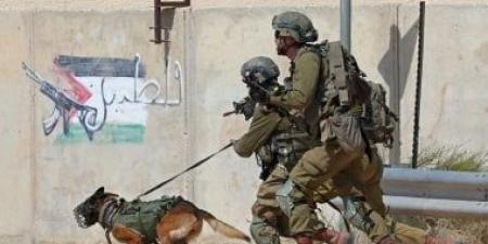 الاحتلال يعزز قواته بالضفة إلى 26 كتيبة ويصادر أراضٍ فى البيرة