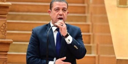 برلماني: كلمة الرئيس تؤكد أن الوعي والعمل هما خط الدفاع الأول عن الدولة