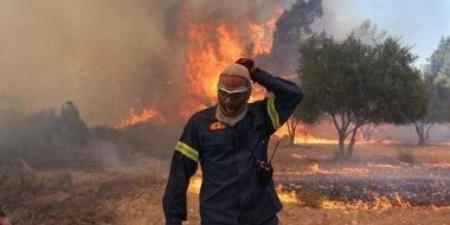 الجزائر: مصرع 12 شخصاً فى حصيلة مؤقتة لحرائق الغابات شرقى البلاد