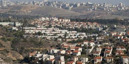 مستوطنون يقطعون 450 شجرة مثمرة ويهاجمون مركبات فلسطينية بالضفة الغربية