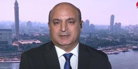 خبير علاقات دولية: أمن الخليج جزء أساسي من الأمن القومي المصري ومصر تدعم أشقاءها العرب