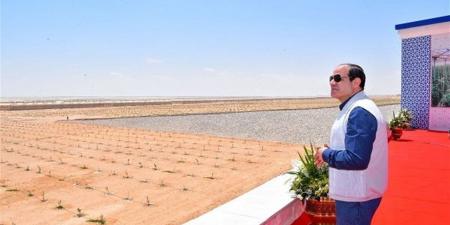 كريم العمدة: تنمية سيناء تحولت من هدف تنموي لمشروع قومي