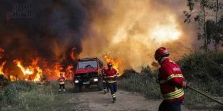 إخماد 85 حريقا من 153.. محاولات جزائرية للسيطرة على حرائق الغابات.. فيديو