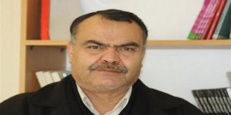 أحمد رفيق عوض لـ"الدستور": أمريكا عاجزة عن فرض واقع جديد في مضيق هرمز