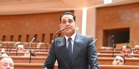 محمد نشأت: زيارة الرئيس الصيني لمصر تفتح آفاقًا جديدة للتعاون الاقتصادي والاستثماري
