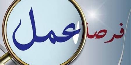 60 فرصة عمل جديدة لشباب الإسماعيلية
