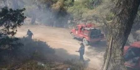 الجيش الجزائرى يتدخل جوا وبرا للمساهمة فى إخماد حرائق جيجل والطارف