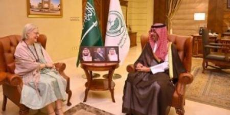 محافظ جدة يبحث مع سفيرة البرتغال تعزيز العلاقات والموضوعات المشتركة