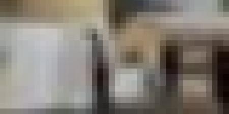 جيجل: "جاست إيمو" تشرع في إعادة تأهيل المدارس المتضررة من الحرائق