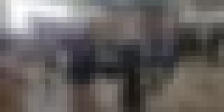 جيجل.. إطلاق مركز شبابي للتطوع لدعم المتضررين من الحرائق