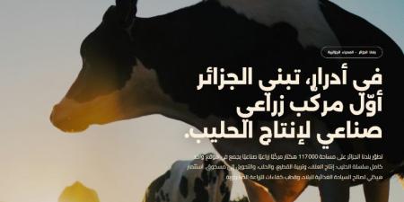 " بلدنا الجزائر " تعلن عن حملة وطنية تنطلق من أدرار لتوظيف 1,000 منصب بحلول 2027