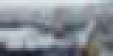 3961 متعاملًا يوظفون بين 0 و5 عمال.. يطلبون الاستيراد بقيمة 130 مليار دولار