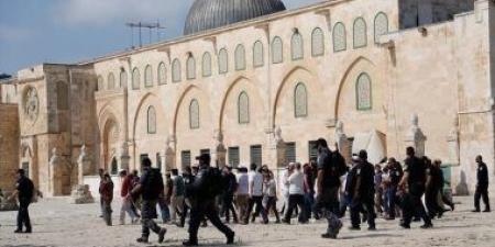 480 مستوطنًا يقتحمون المسجد الأقصى والاحتلال يشدد إجراءاته بالقدس