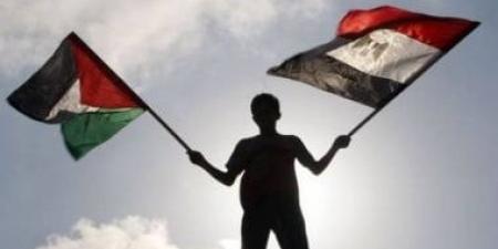 مسئول بالجامعة العربية: دور مصر محوري وأساسي في دعم القضية الفلسطينية
