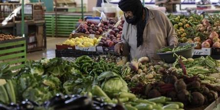 صندوق النقد الدولي يؤكد الضغوط على احتياطي الصرف في الجزائر وسط ترقب لمشروع الموازنة العامة الجديدة