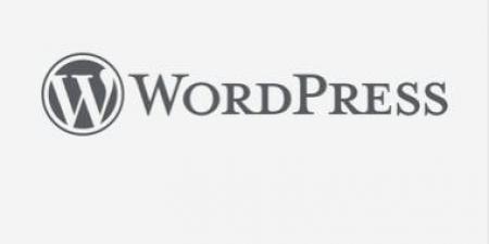 تنبيه أمنى لأصحاب المواقع..  ثغرة حرجة فى منصات WordPress