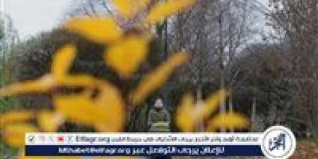 الأرصاد تحذر من السحب الرعدية والأمطار اليوم.. الضبعة والعلمين وسيدي عبد الرحمن أبرز المناطق