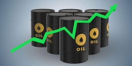 خام برنت يتخطى 100 دولار.. الإدارة الأمريكية تبحث فرض حظر على صادرات الديزل.. وخبير يكشف سيناريوهات تحريك أسعار الوقود في مصر وتأثيرها على التضخم