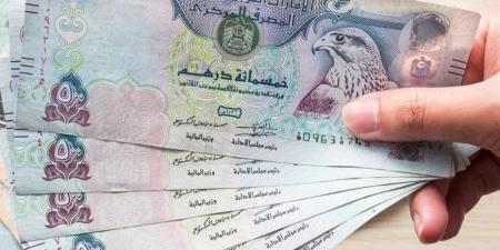سعر الدرهم الإماراتي مقابل الجنيه في البنك المركزي (آخر تحديث)