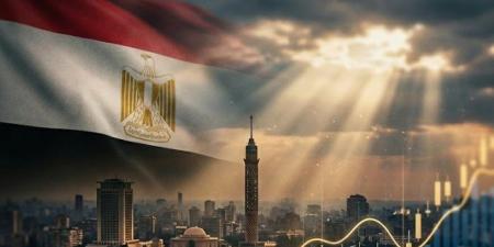 رئيس هيئة الاستثمار السابق يكشف لـ " فيتو" سر تحرك الأموال الساخنة
