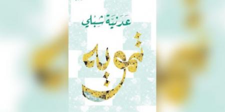رواية «تمويه» لعدنية شبلي… عمق السطح وقيمة الأثر