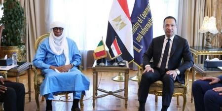 وزير الاتصالات يبحث مع نظيره المالي تعزيز التعاون المشترك