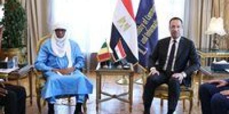 مصر ومالي تبحثان تعزيز التعاون في التحول الرقمي وتطوير البنية التحتية للاتصالات