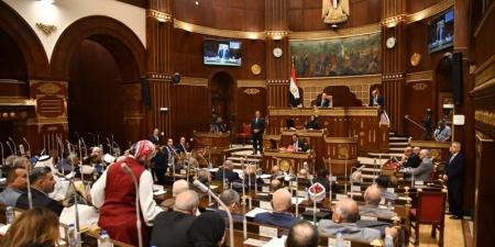 موعد تشكيل اللجان النوعية بمجلس الشيوخ