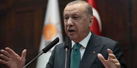 لأردوغان: لم يكن “درع أخيل” إلا للجمك