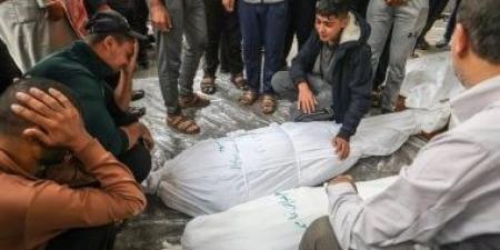 استشهاد 4 فلسطينيين وإصابة 12 بنيران الاحتلال الاسرائيلى فى غزة