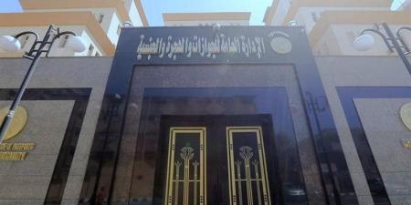 للمصريين المهاجرين، خطوات الحصول على خطاب التأمينات لصرف المستحقات التأمينية والرسوم المطلوبة