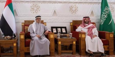 وزير الدفاع السعودي يستقبل نائب الرئيس الإماراتي في الرياض