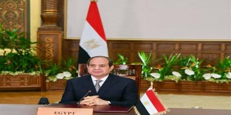 السيسي يوجه الداخلية بترشيد تكاليف تراخيص السيارات وحسن معاملة المواطنين