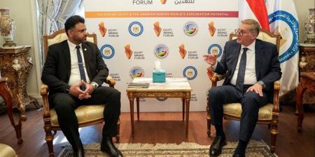 وزير البترول يبحث مع وفد «وورلي» العالمية تعزيز التعاون بالمشروعات التعدينية