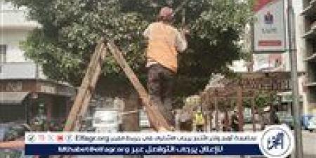 الإسماعيلية تواصل أعمال التطوير والتجميل استعدادًا للمهرجان الدولي للفنون الشعبية