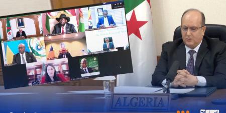 الجزائر تعرض دعمها اللوجستي والتقني لانتخابات جنوب السودان