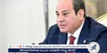عاجل- السيسي يصدر قرارًا بتعيين 4 نواب لرئيس المحكمة الدستورية العليا.. تعرف على الأسماء
