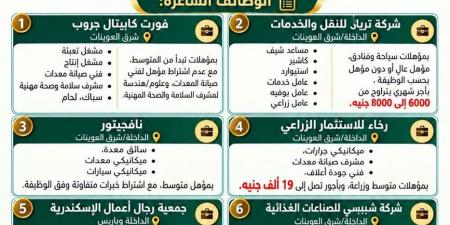 فرص عمل جديدة بالوادي الجديد براتب يصل إلى 19 ألف جنيه