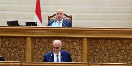 "قانون نص الليل"، نائب يفتح النار على الحكومة بسبب تأجيل الإجراءات الجنائية: "من أمتى بتكون جاهزة؟!"
