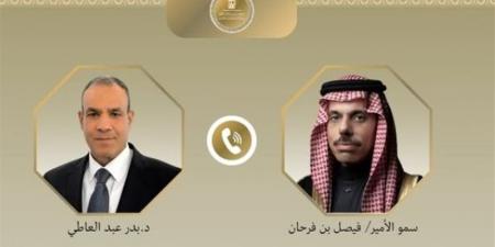 وزير الخارجية يبحث مع نظيره السعودي الأوضاع الإقليمية وحرية الملاحة في البحر الأحمر وباب المندب
