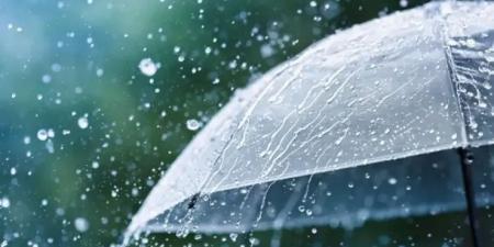 أمطار رعدية غزيرة على العديد من ولايات الوطن
